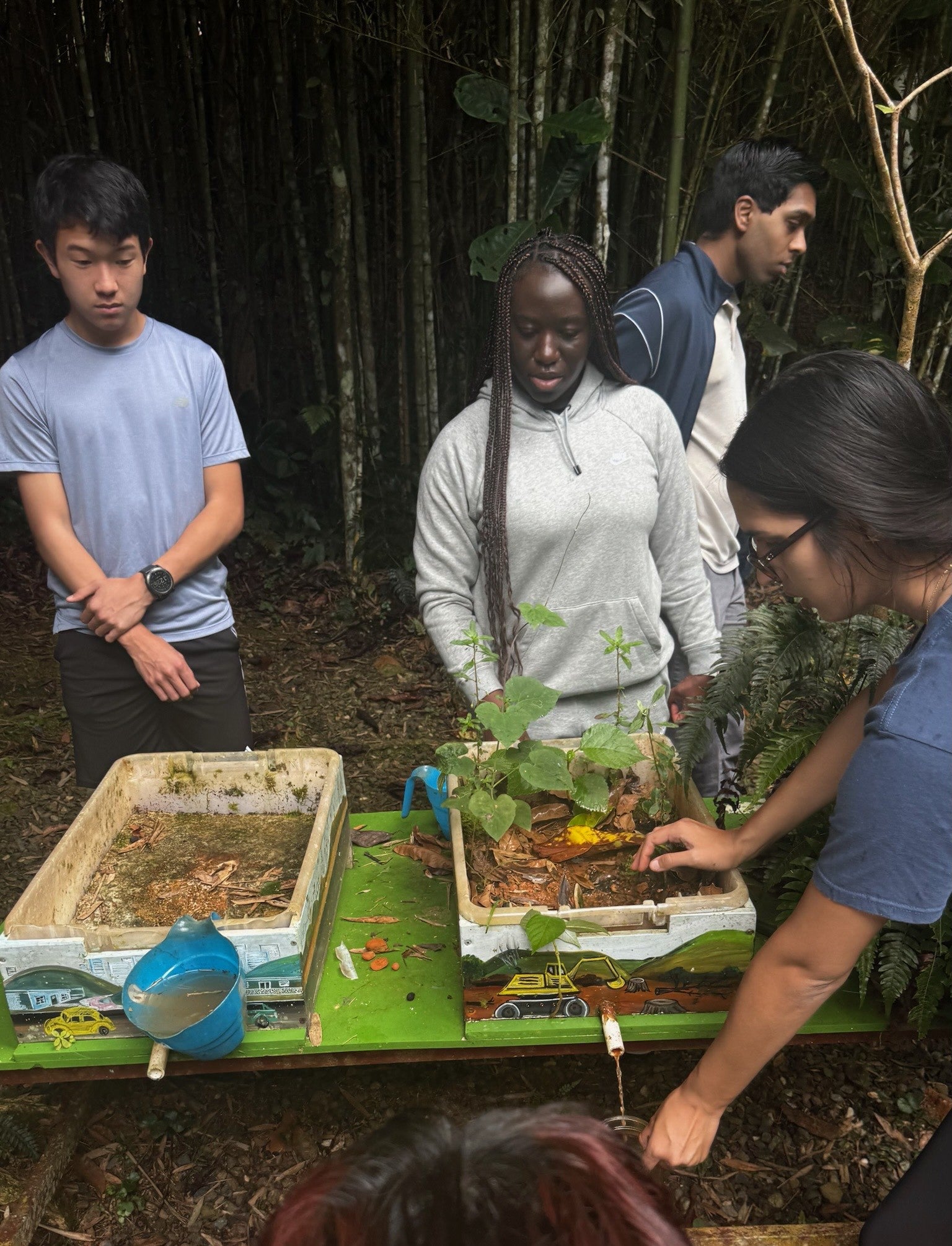 Students observe a model demonstration about deforestation.
