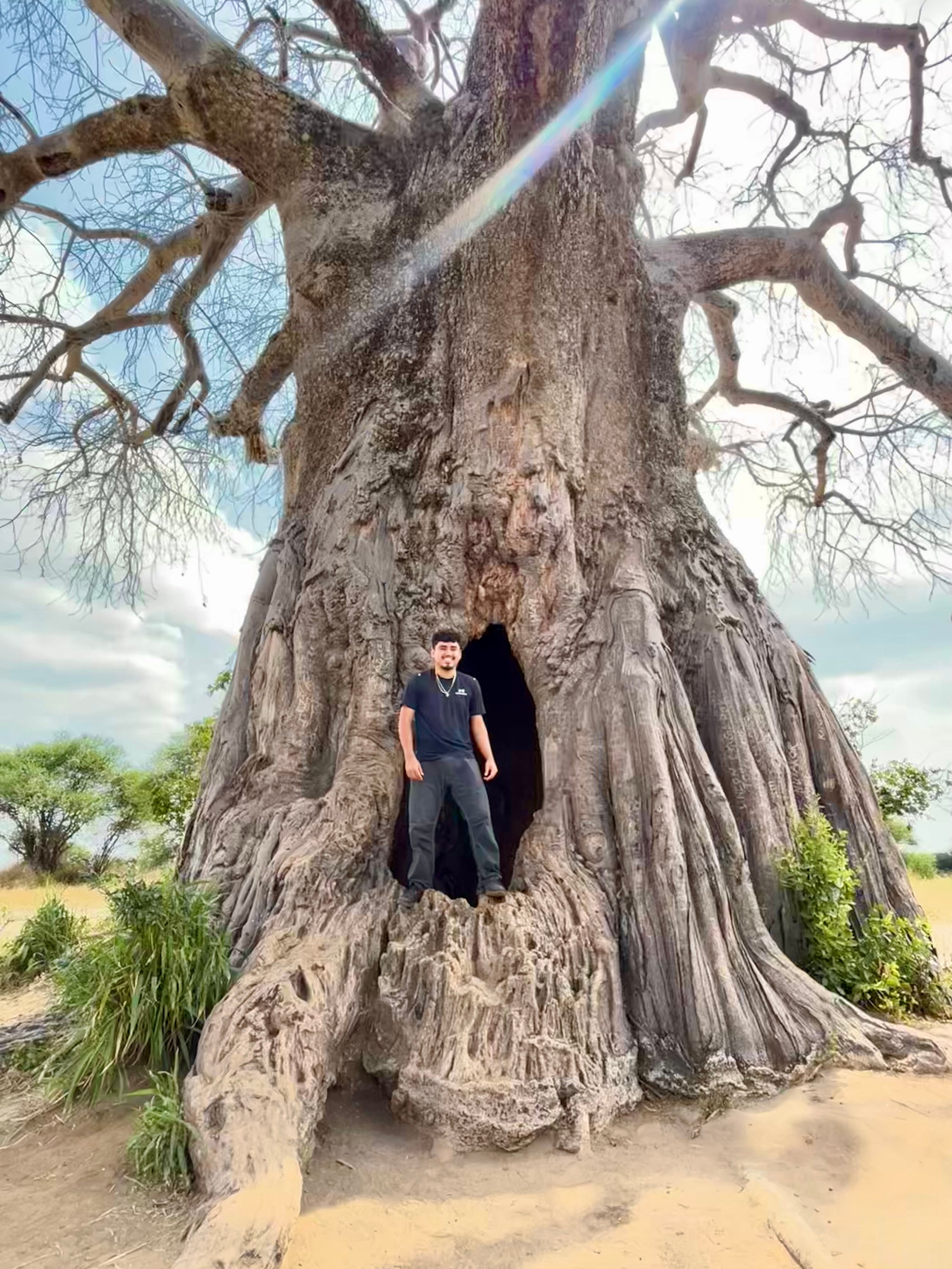 Ezequiel Delcid Hernandez ’27 stands at the base of a large baobob tree