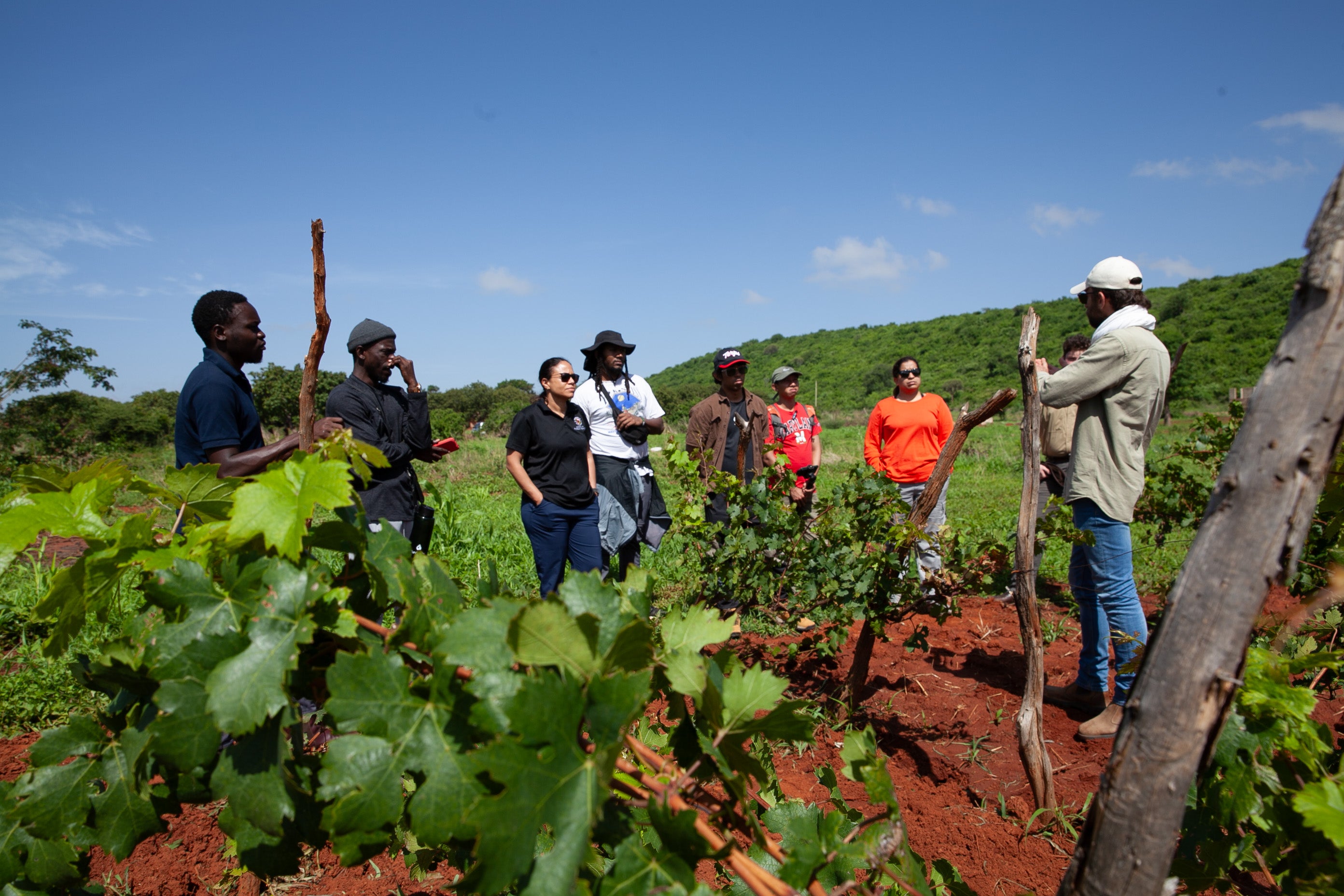 David Zukerman and Baraka Mwamkinga of Cultivaid explain Tanzania's burgeoning grape industry at a farm in Dodoma region.