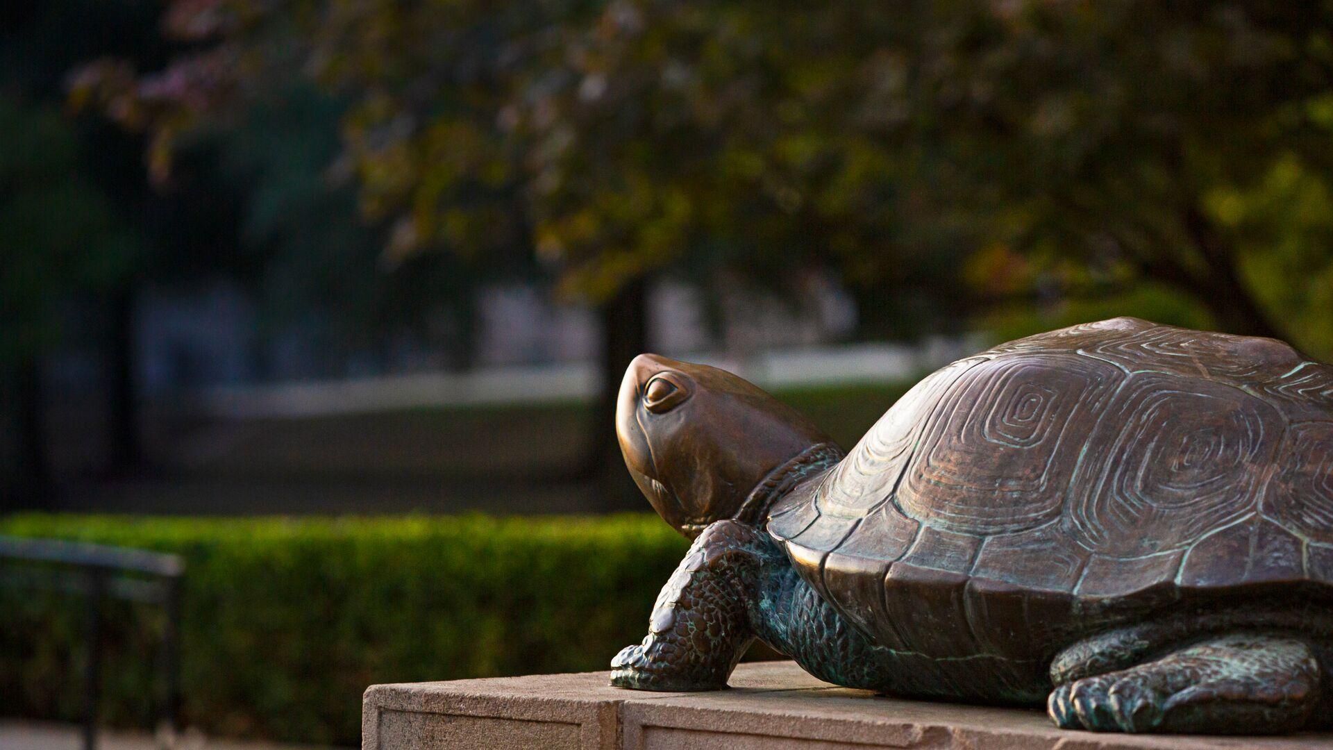 Testudo sculpture in front of McKeldin Library