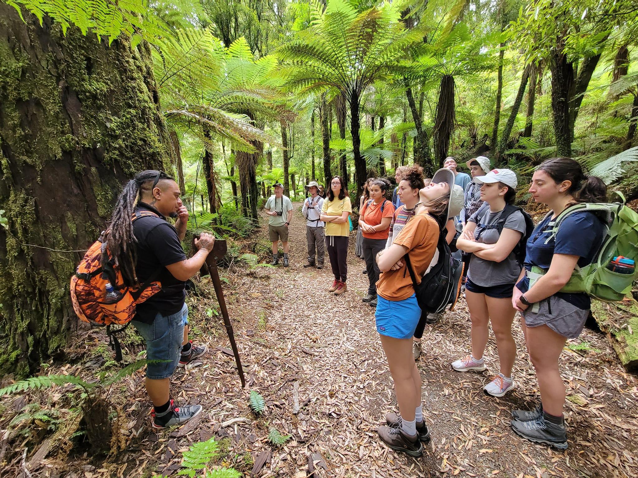 Group of students stand facing a guide in the forest.