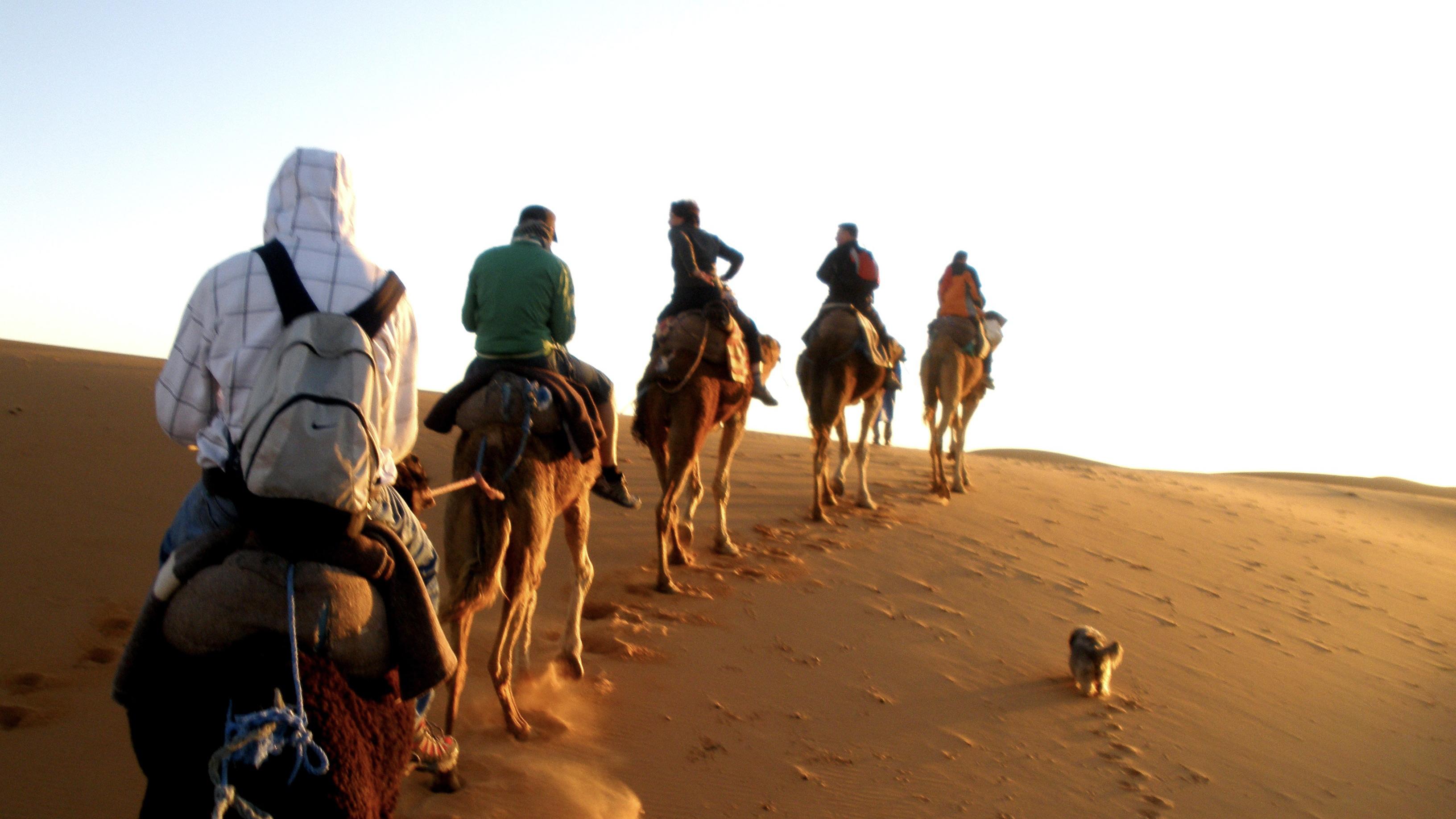 Students traverse the desert on camelback. Five camels and their riders align in the sand. 