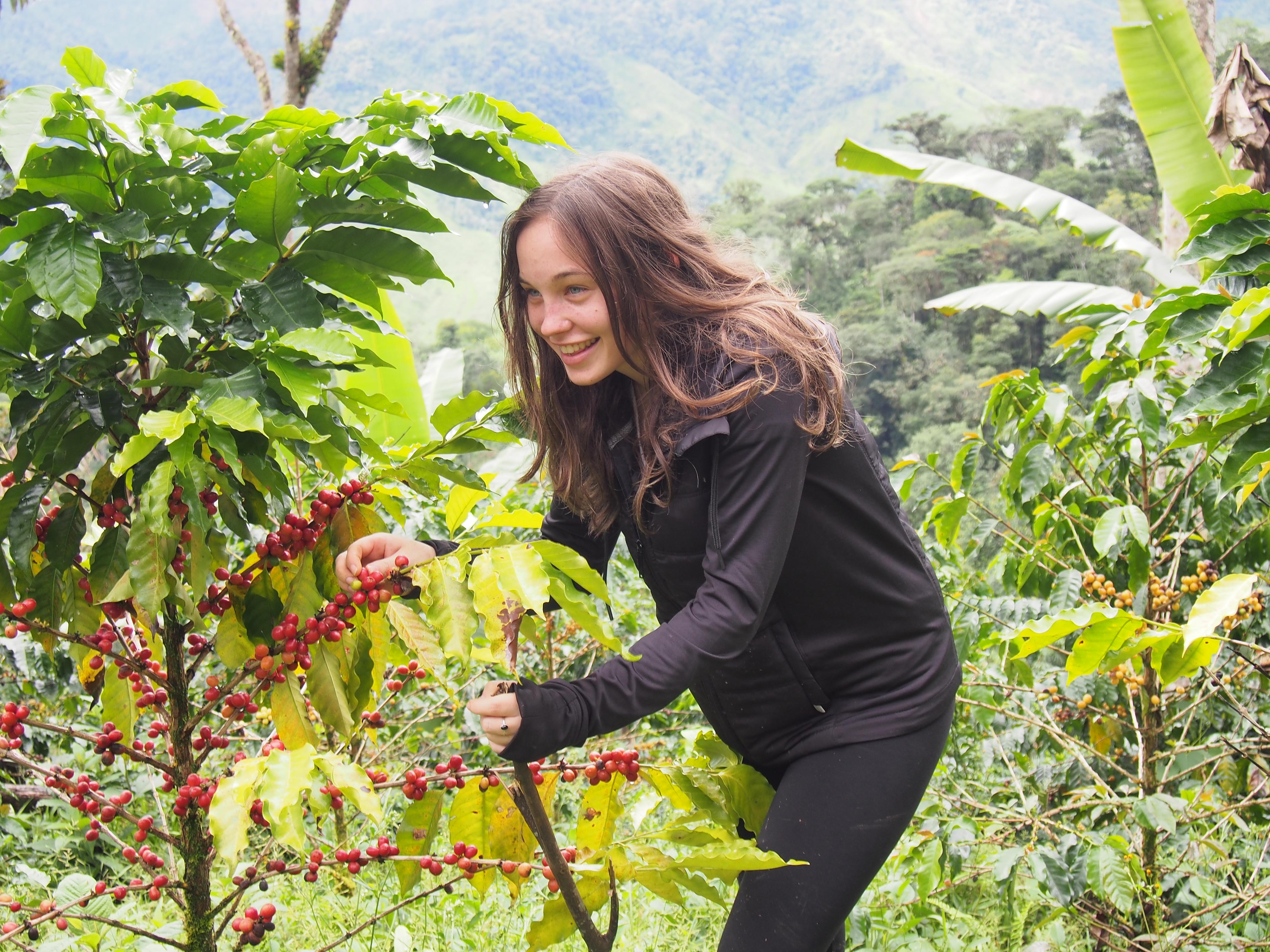 Girl inspecting plants in a garden.