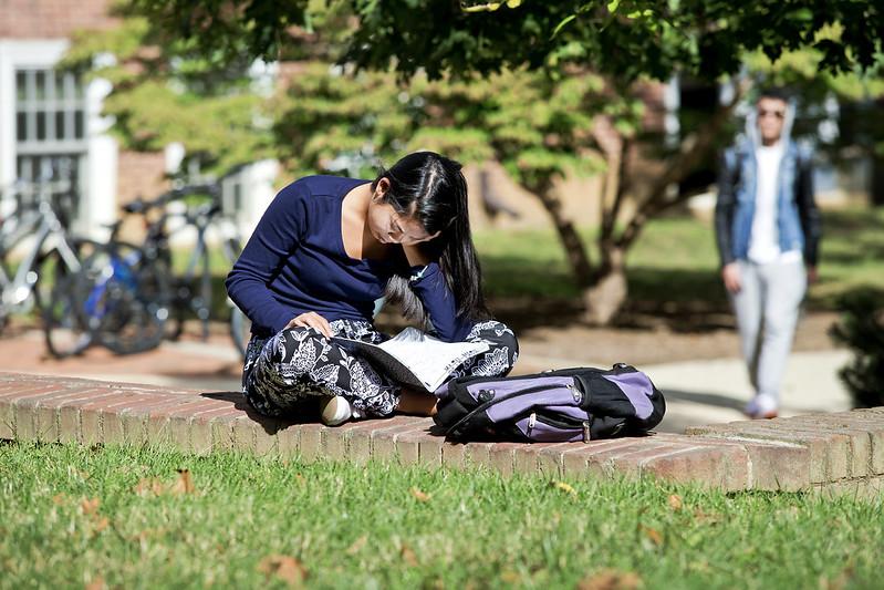 Student reading in an outdoor space.