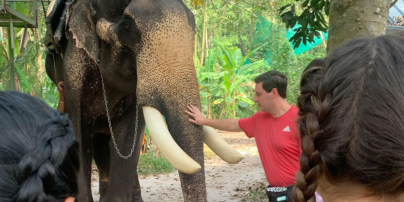 Sedric in a red shirt, with his hand on the trunk of an elephant.