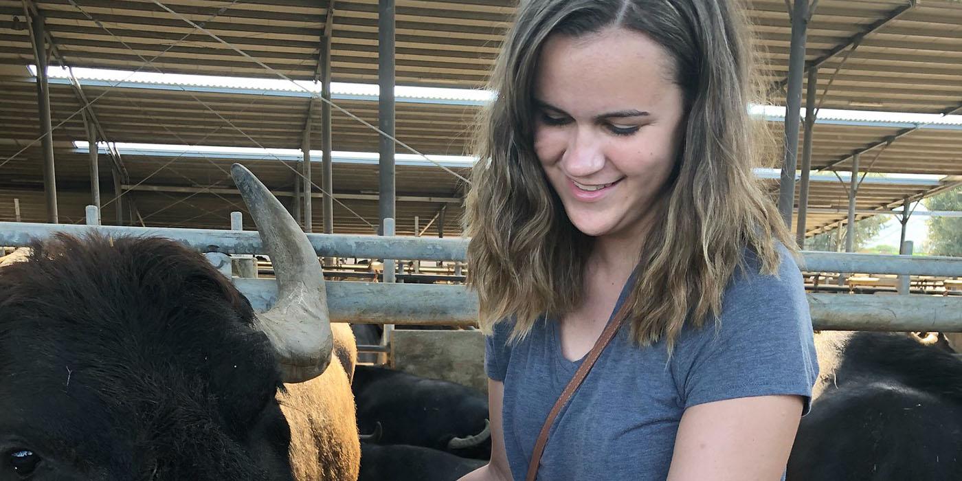 Tia petting a brown bull with horns