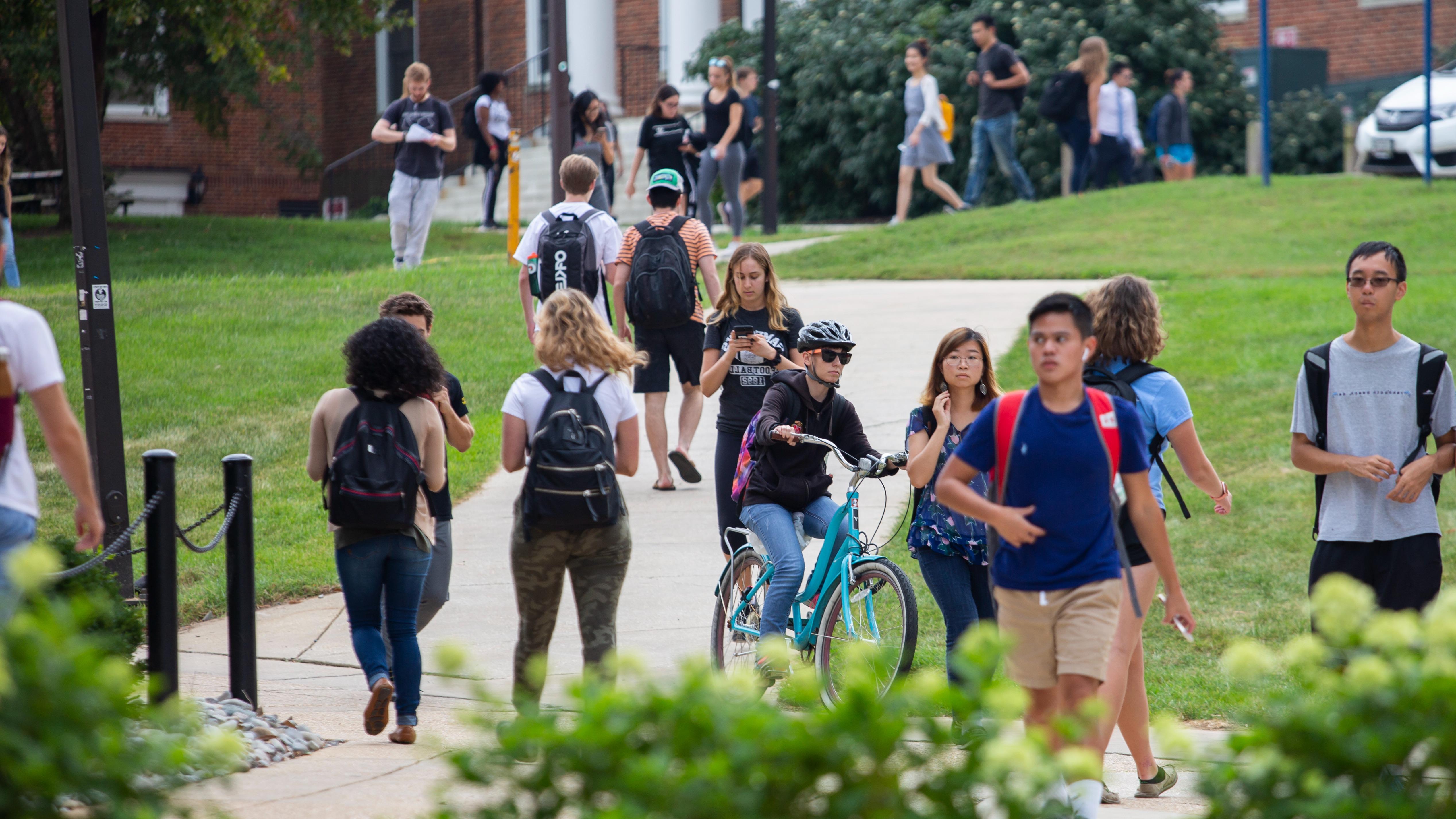Students talk in groups and walk on campus.
