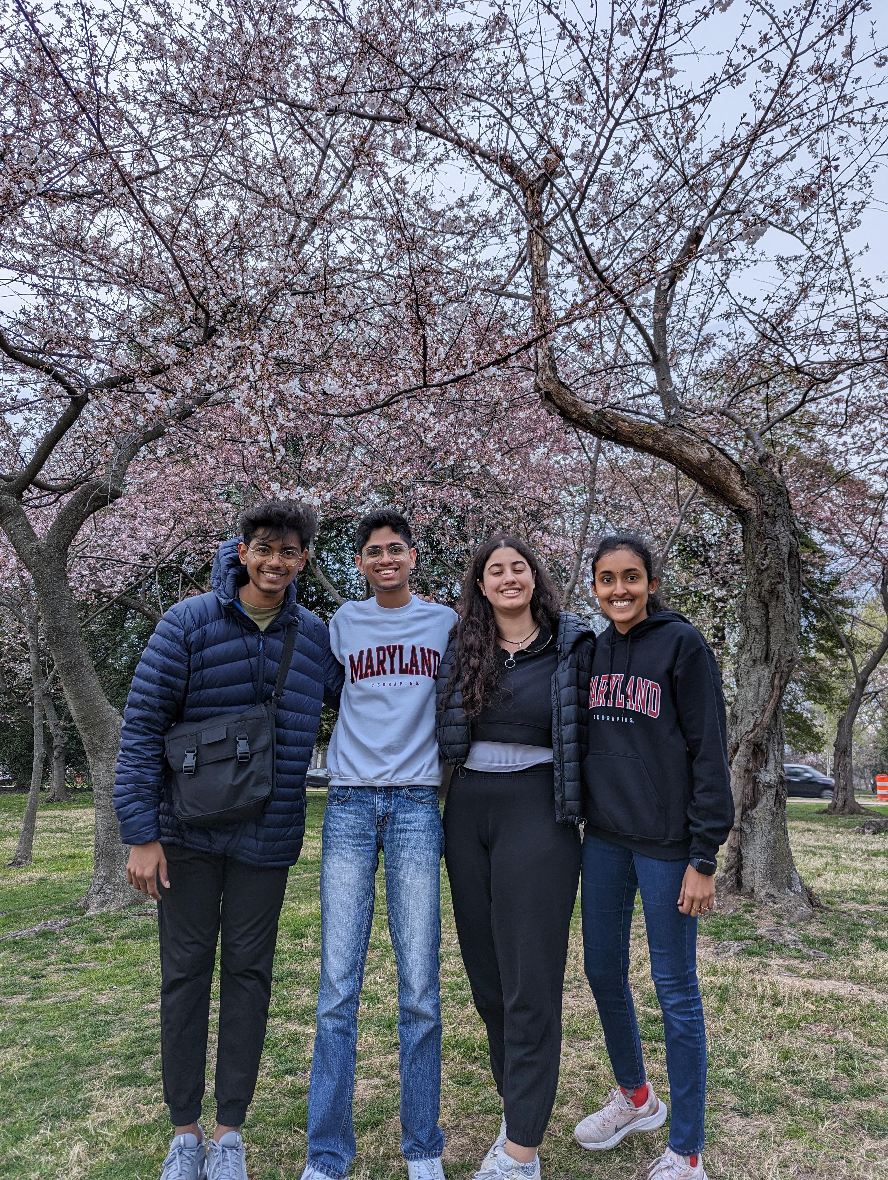 UMD exchange students pose in front of D.C. cherry blossoms.