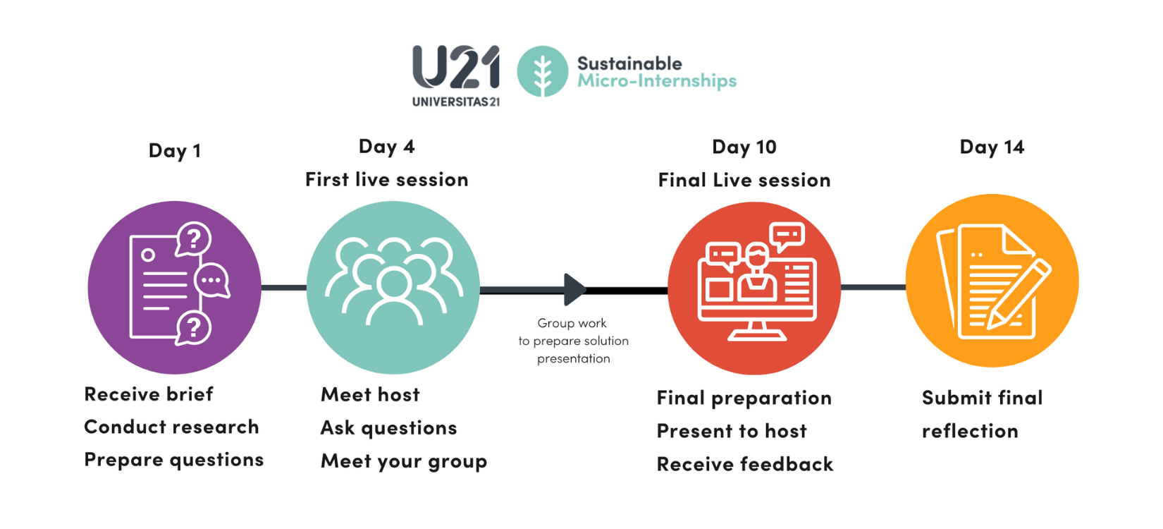 Micro-Internships Timeline cycle. Day 1: Receive brief, conduct research, and prepare questions. Day 4: First Live session. Meet the host, ask questions, and meet your group. Then, the group work to prepare a solution presentation. Day 10: Final Live session: Final preparation, presentation to host, and receive feedback. Day 14: Submit final reflection. 