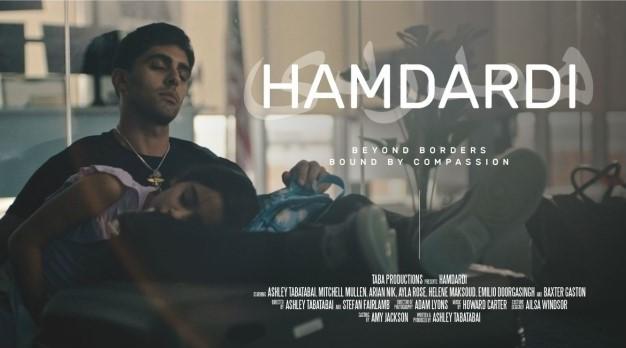 Movie poster for Hamdari, a man and woman resting