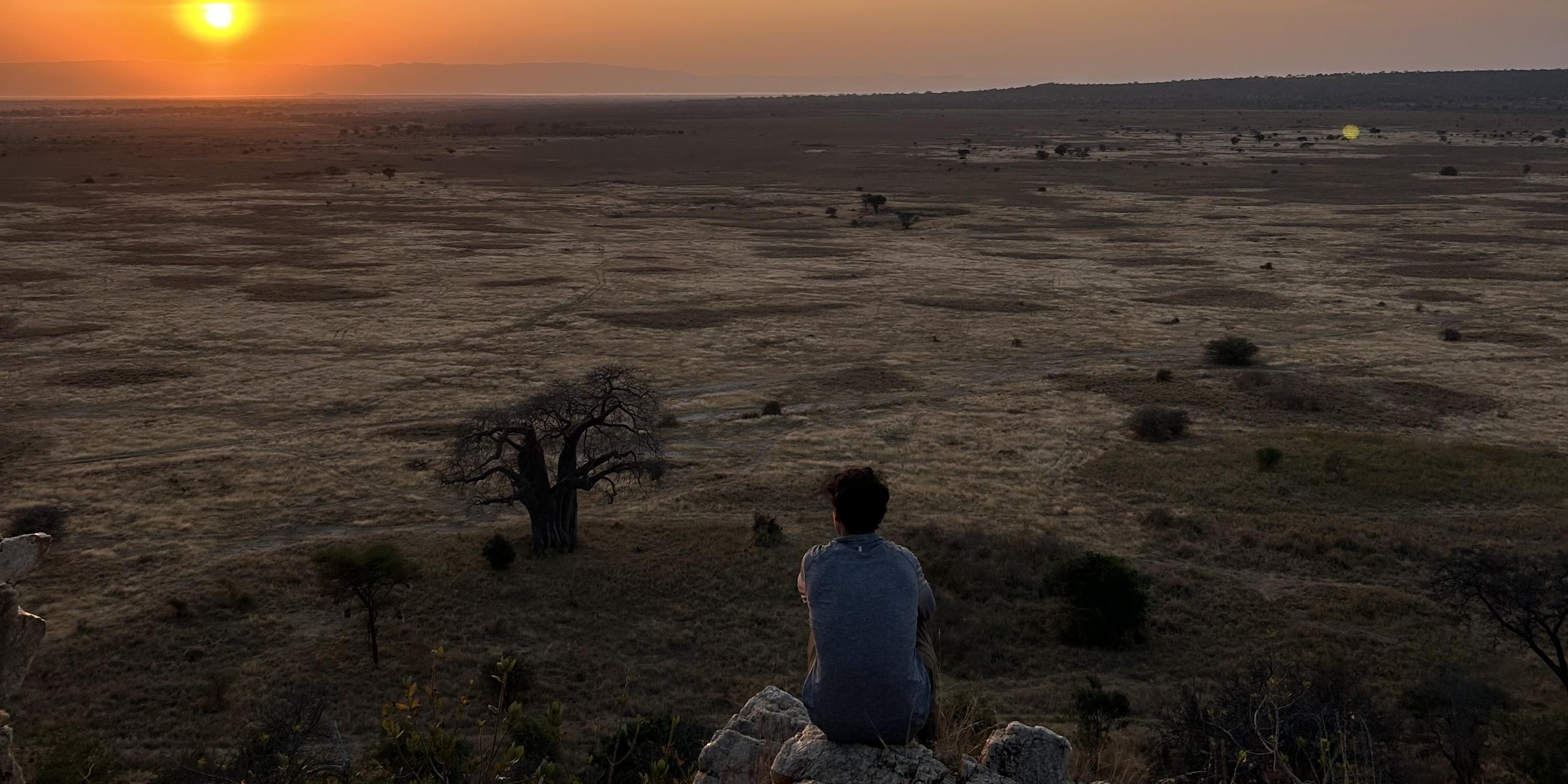 Griffin sits at an overlook above the African savanna watching the sun near the horizon.