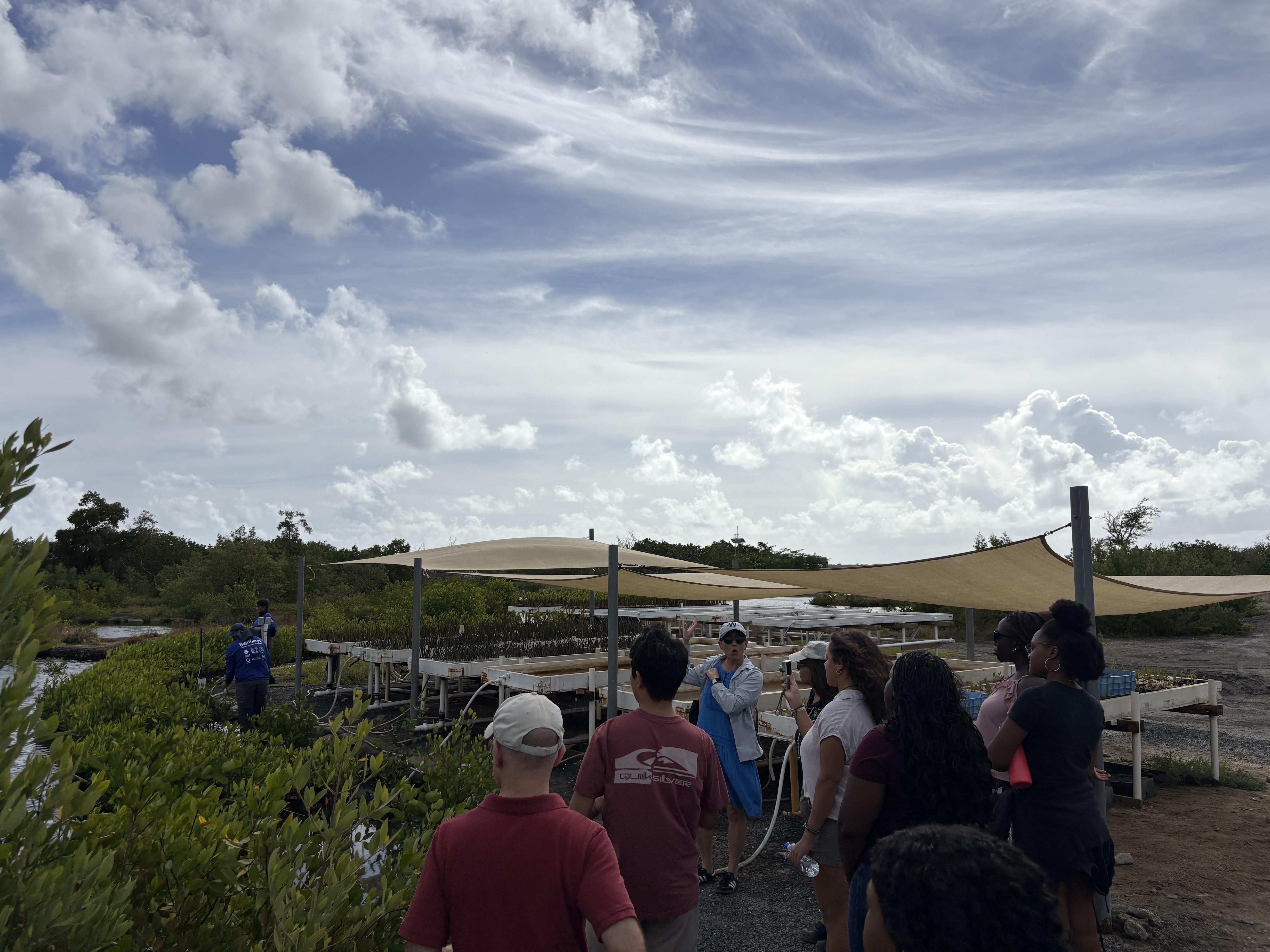 Students walk outdoors in a nature reserve under a cloudy sky